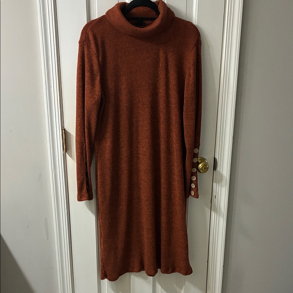 Rust Turtleneck Knit Dress with Button Cuffs
